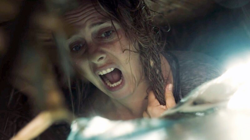 The Requin – Bild: RTL Zwei