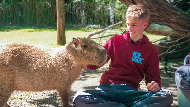 Nick mit einem Wasserschwein – Bild: MDR/​Cine Impuls Leipzig GmbH