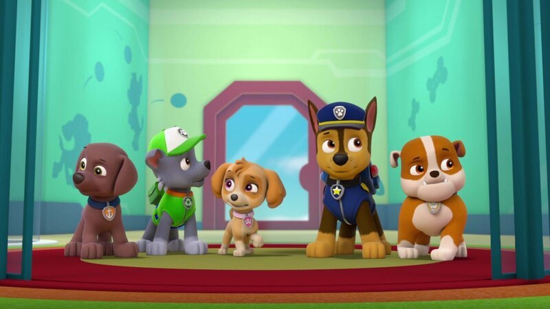 L-R: Zuma, Rocky, Skye, Chase, Rubble – Bild: ViacomCBS