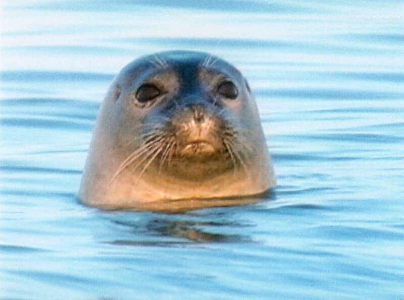 Abenteuer Überleben – Bild: NDR