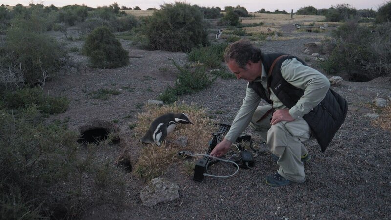 Das Filmteam gewährt einen Blick hinter die Kulissen. – Bild: RTL /​ Terra Incognita Docs