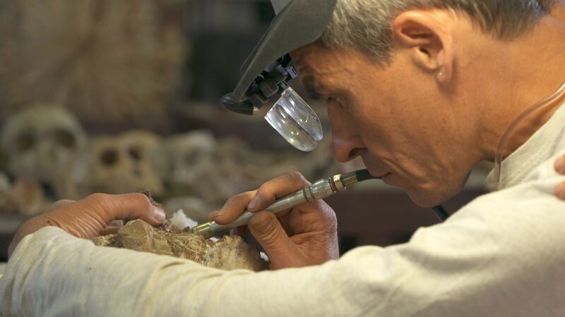 José Braga auf der Suche nach dem Schlüssel zur Menschheit. Neue Fossilienfunde der Grabungsstätte Kromdraai könnten den fehlenden Teil der menschlichen Evolution enträtseln. – Bild: ZDF und Ex Nihilo-Et Alors Productions-Altus & Fortis