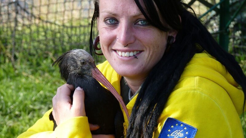 Corinna Esterer zieht seit Jahren Waldrappküken auf und identifiziert sich sehr mit diesen ganz speziellen Vögeln aus der Famiie der Ibisse. – Bild: BR/A. Vogel Corinna Esterer zieht seit Jahren Waldrappküken auf und identifiziert sich sehr mit diesen ganz speziellen Vögeln aus der Famiie der Ibisse. – Bild: BR/A. Vogel
