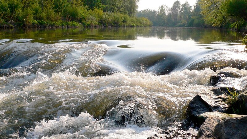Kamp - Ein Fluss für alle Sinne – Bild: AV Dokumenta