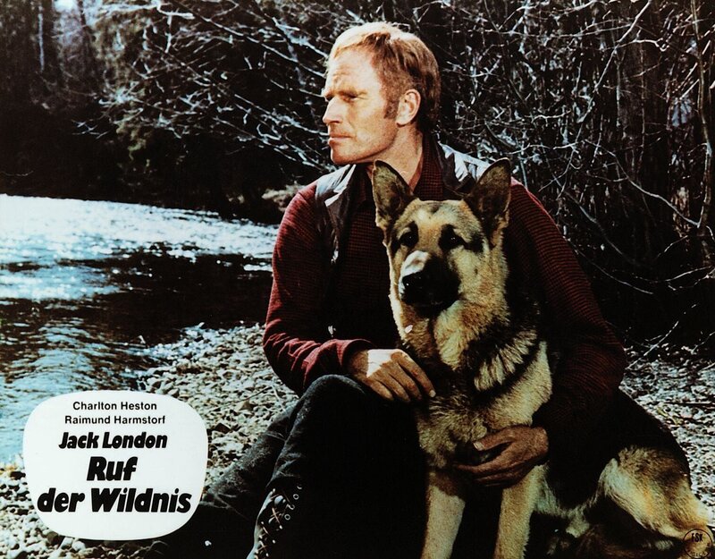 Der Ruf der Wildnis – Bild: CCC