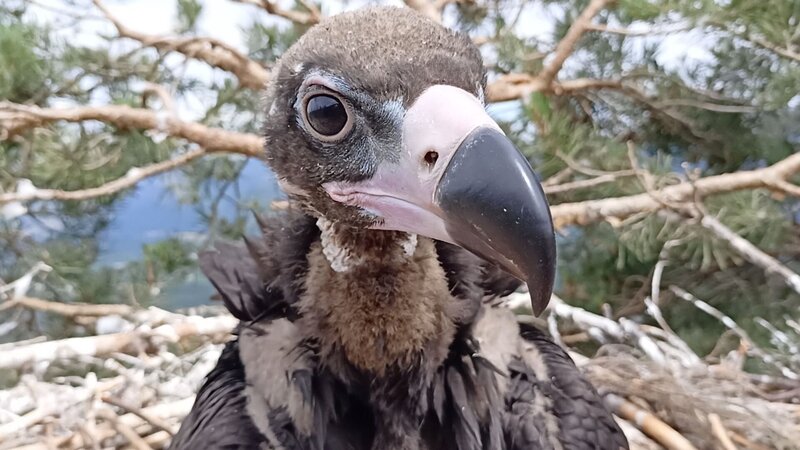Die Sierra de Guadarrama – Bild: Iván Rodriguez