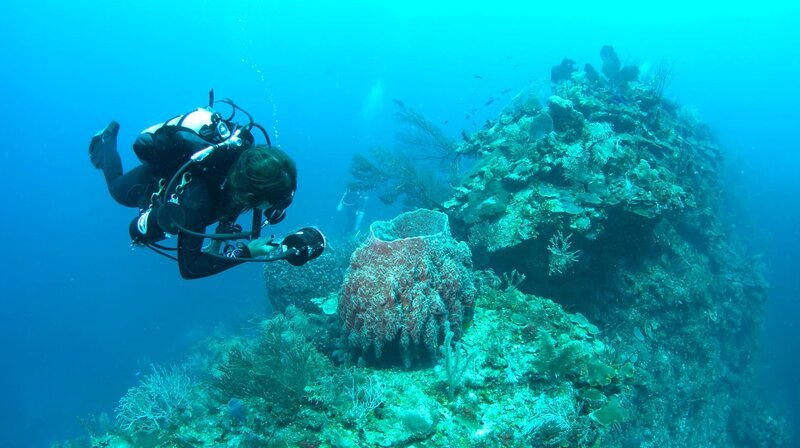 Forscher erkunden Gestalt und Ausmaße der Cayman Crown – und ihre Bewohner. – Bild: NDR/​Terra Mater & Alfredo Barroso