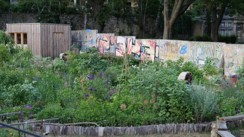 Der ehemalige Todesstreifen gehört Jahrzehnte nach dem Abbau der Grenzanlagen noch zu den geheimnisvollsten, aber auch besonders grünen Orten Berlins. Zwischen mondänen Wassergrundstücken und dem 2-m²-Beet an der Bernauer Straße erkundet der Film unterschiedlichste Gärten und ihre eigentümliche Topografie aus einer fast vergessenen Zeit. – Garten der Versöhnung: ehem. Todesstreifen Bernauer Straße. – Bild: rbb/Felix Krüger Der ehemalige Todesstreifen gehört Jahrzehnte nach dem Abbau der Grenzanlagen noch zu den geheimnisvollsten, aber auch besonders grünen Orten Berlins. Zwischen mondänen Wassergrundstücken und dem 2-m²-Beet an der Bernauer Straße erkundet der Film unterschiedlichste Gärten und ihre eigentümliche Topografie aus einer fast vergessenen Zeit. – Garten der Versöhnung: ehem. Todesstreifen Bernauer Straße. – Bild: rbb/Felix Krüger