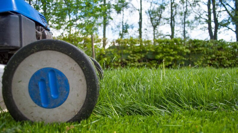Was kann der Rasenmähroboter, was das Standardmodell nicht kann? – Bild: N24 Doku Was kann der Rasenmähroboter, was das Standardmodell nicht kann? – Bild: N24 Doku