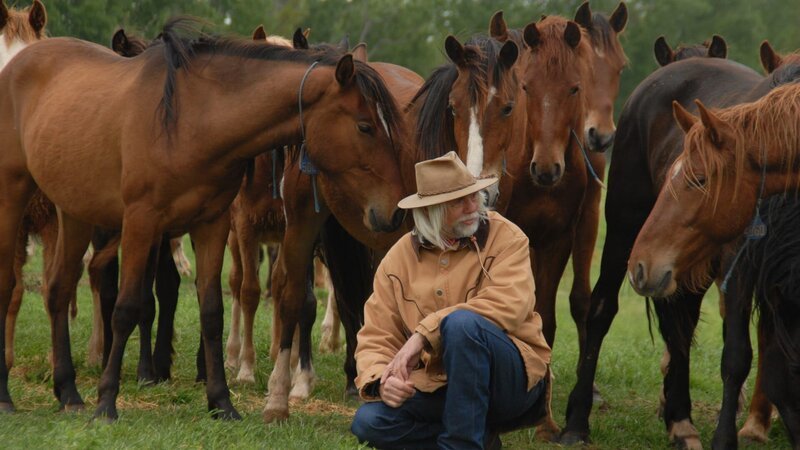 Erich Pröll with mustangs. – Bild: Bergblick