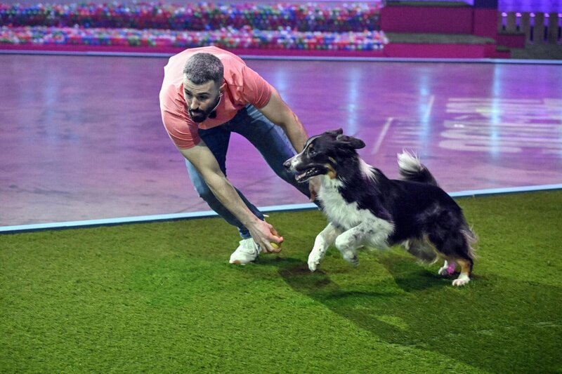 Zeqir Fazlija mit seinem Border Collie „Fukano“ in Runde 2. – Bild: RTL /​ Markus Hertrich