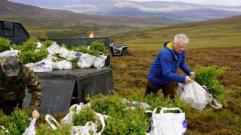 Thomas MacDonell, Director of Conservation, Wildland Limited – Bild: SPIEGEL TV GmbH