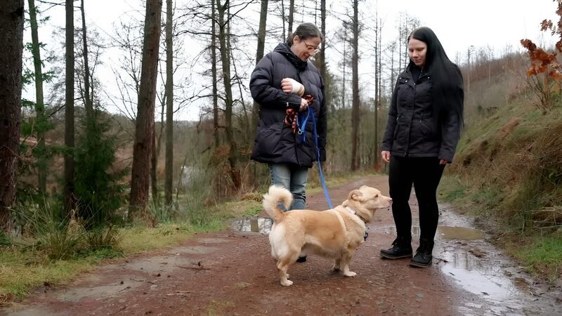 Mischling Carlie, Susanne (l.) und Denise. +++ Die Verwendung des sendungsbezogenen Materials ist nur mit dem Hinweis und Verlinkung auf RTL+ gestattet. +++ – Bild: RTL