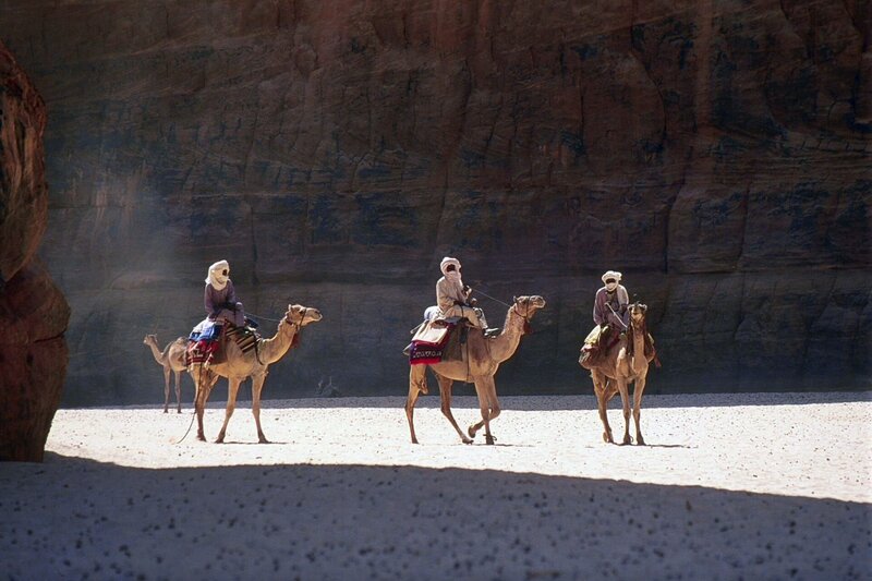 Ur-Amazonas – Bild: ORF/​epo-film/​Sepp Friedhuber