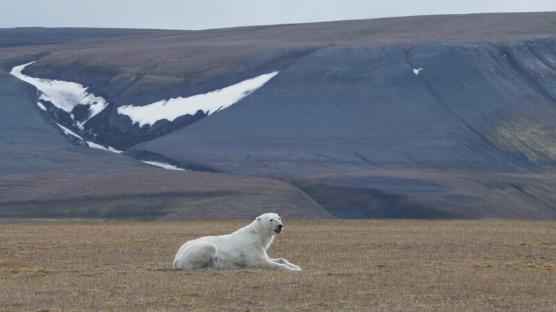 Bild: National Geographic