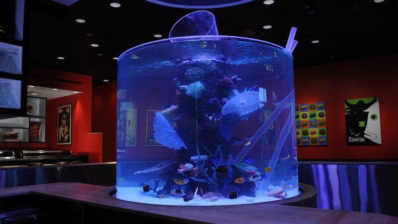 The finished cowfish tank. – Bild: Animal Planet /​ 32129_ep303_015 – Photobank. /​ Discovery Communications