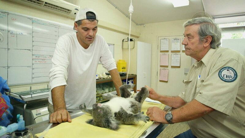 Frank Cuesta at the vet – Bild: Animal Planet