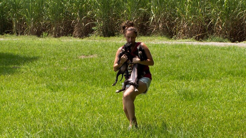 Teletubbie Rescue with Kanani and M2. – Bild: Animal Planet /​ Discovery Communications, LLC
