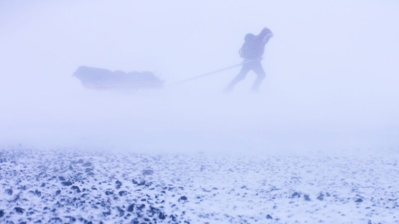 Arctic – Bild: ZDF und Helen Sloan./​Helen Sloan