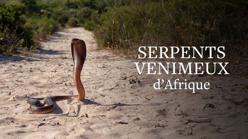  – Bild: Arte