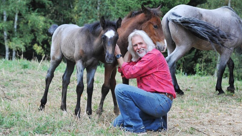 Erich Pröll with mustangs. – Bild: Bergblick