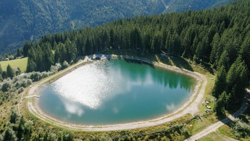 Wildnis 2.0 - Die Tierwelt auf Umwegen – Bild: Centurioni Images /​ ORF /​ Patrick Centurioni