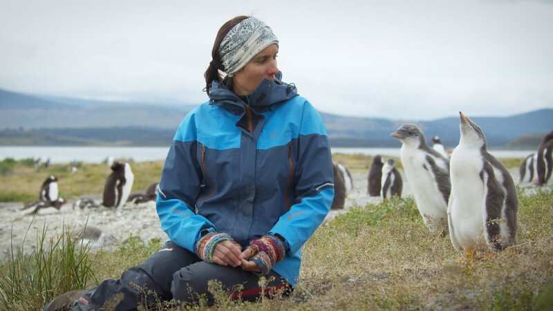 Andrea Raya Rey with Gentoo Penguins – Bild: SRF/​Fremantle