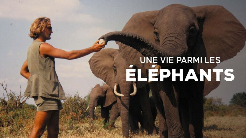 Ein Leben unter Elefanten – Bild: Arte