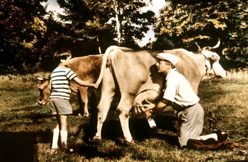 Wenn der Vater mit dem Sohne – Bild: ORF/​Beta Film