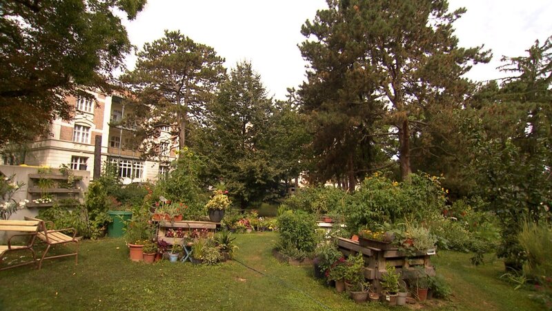 Der große Umbau – Bild: ORF