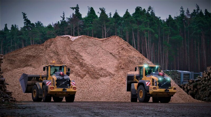 Ware Wald – Bild: BR/​rbb