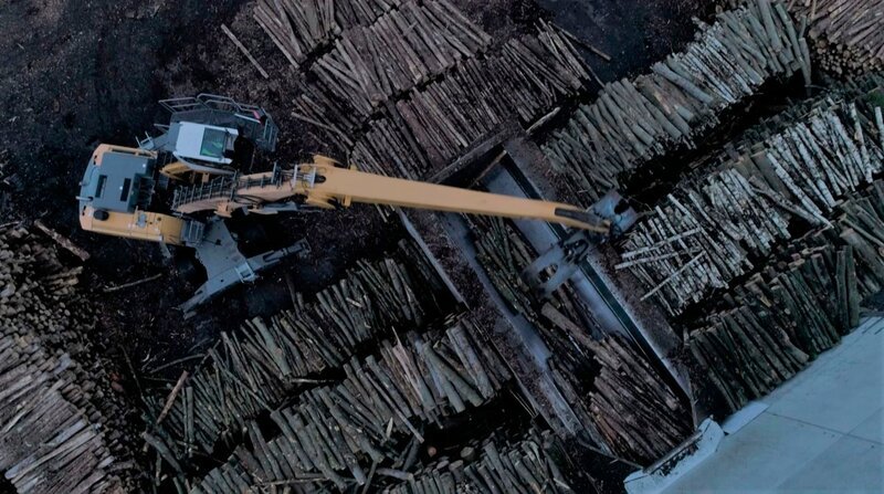 rbb Fernsehen WARE WALD, „Die Schattenseiten des Holz-Booms“, am Dienstag (15.02.22) um 20:15 Uhr. Holz ist der neue Hoffnungsträger. Es soll im Baugewerbe den Beton und im Kraftwerk die Kohle ersetzen und so die Klimakrise stoppen helfen. Doch der Holzlieferant Wald ist selbst bedroht. Wie sollen die Wälder zugleich Klimaschützer, Naherholungsgebiet und Wirtschaftsfaktor sein? Was kann der Wald leisten, ohne vollends zur Ware zu werden? – Ein Bagger verlädt in Baruth (Brandenburg) Industrieholz, aus dem Laminat hergestellt wird. © rbb, honorarfrei – Verwendung gemäß der AGB im engen inhaltlichen, redaktionellen Zusammenhang mit genannter rbb-Sendung bei Nennung „Bild: rbb“ (S2+). rbb Presse & Information, Masurenallee 8–14, 14057 Berlin, Tel: 030/97 99 3–12118, pressefoto@rbb-online.de – Bild: BR/rbb rbb Fernsehen WARE WALD, „Die Schattenseiten des Holz-Booms“, am Dienstag (15.02.22) um 20:15 Uhr. Holz ist der neue Hoffnungsträger. Es soll im Baugewerbe den Beton und im Kraftwerk die Kohle ersetzen und so die Klimakrise stoppen helfen. Doch der Holzlieferant Wald ist selbst bedroht. Wie sollen die Wälder zugleich Klimaschützer, Naherholungsgebiet und Wirtschaftsfaktor sein? Was kann der Wald leisten, ohne vollends zur Ware zu werden? – Ein Bagger verlädt in Baruth (Brandenburg) Industrieholz, aus dem Laminat hergestellt wird. © rbb, honorarfrei – Verwendung gemäß der AGB im engen inhaltlichen, redaktionellen Zusammenhang mit genannter rbb-Sendung bei Nennung „Bild: rbb“ (S2+). rbb Presse & Information, Masurenallee 8–14, 14057 Berlin, Tel: 030/97 99 3–12118, pressefoto@rbb-online.de – Bild: BR/rbb