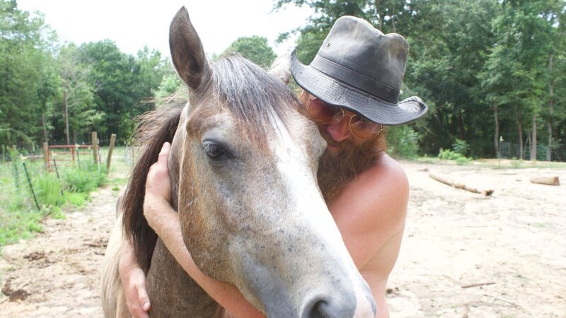 A portrait shot of two horses on the Sanders-Babbit homestead. – Bild: Discovery Communications, LLC