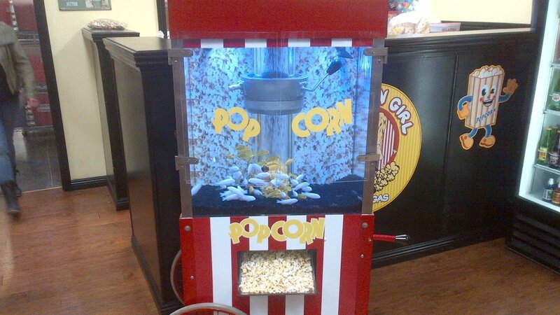 The finished popcorn maker tank. – Bild: Animal Planet /​ 32129_ep306_006.jpg – PhotoBank /​ Discovery Communications