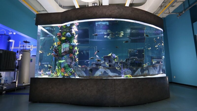 The Imaginarium Science Center in Fort Myers, Florida is adding a new and exciting attraction built by ATM! – Bild: Animal Planet /​ Discovery Communications