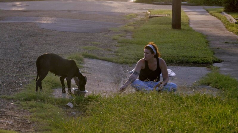 Villalobos organizes a Halloween party to raise funds. An old friend returns, and Lizzy struggles to save a stray dog in the middle of the night. – Bild: PLURIMEDIA (Discovery Communications LLC)