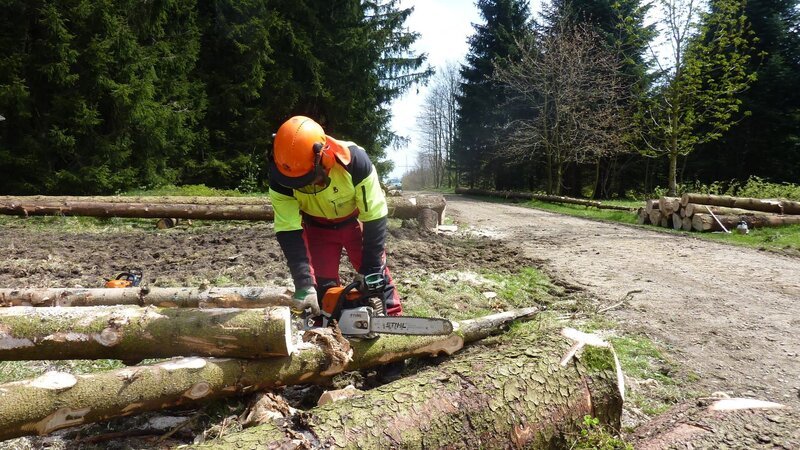 Waldarbeiter im Einsatz – Bild: Autentic