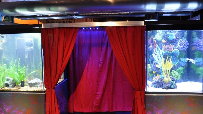 The finished phtoobooth aquarium. – Bild: Animal Planet /​ Discovery Communications