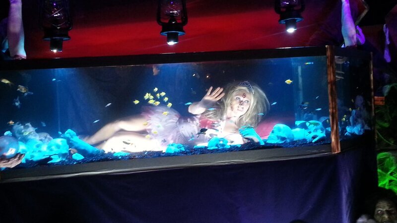 The finished Coffin aquarium. – Bild: Animal Planet /​ Discovery Communications