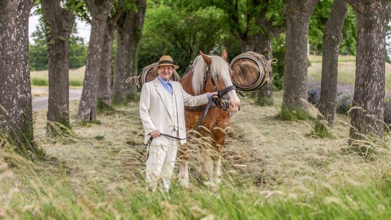 Erwin Steinhauer mit einem „Wasser-Reiter“-Pferd. – Bild: ORF/FOR TV/Peter Aigner Erwin Steinhauer mit einem „Wasser-Reiter“-Pferd. – Bild: ORF/FOR TV/Peter Aigner