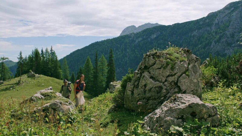 Nationalpark Gesäuse. – Bild: Bergblick