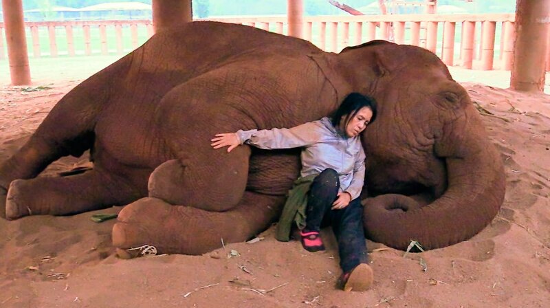 Thailands Elefantenretterin – Bild: phoenix/​WDR/​ARTE/​Bungalow Town Productions