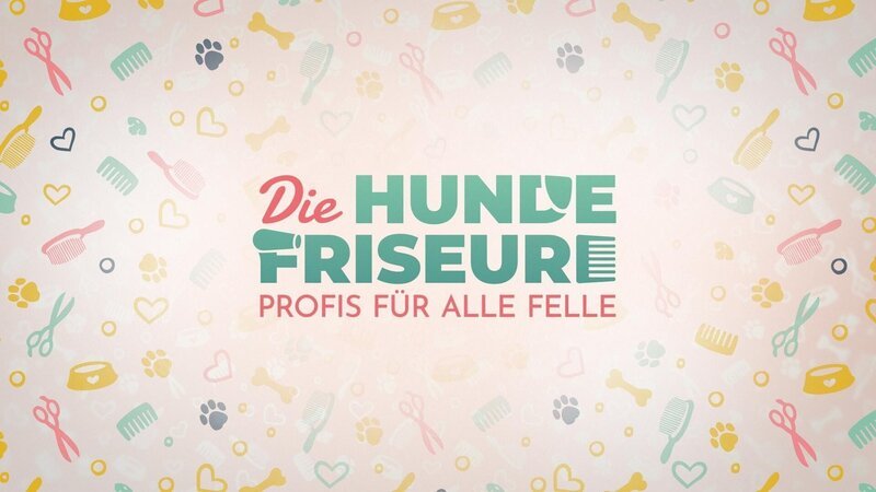 Logo zu ‚Die Hundefriseure Profis für alle Felle‘. – Bild: RTL