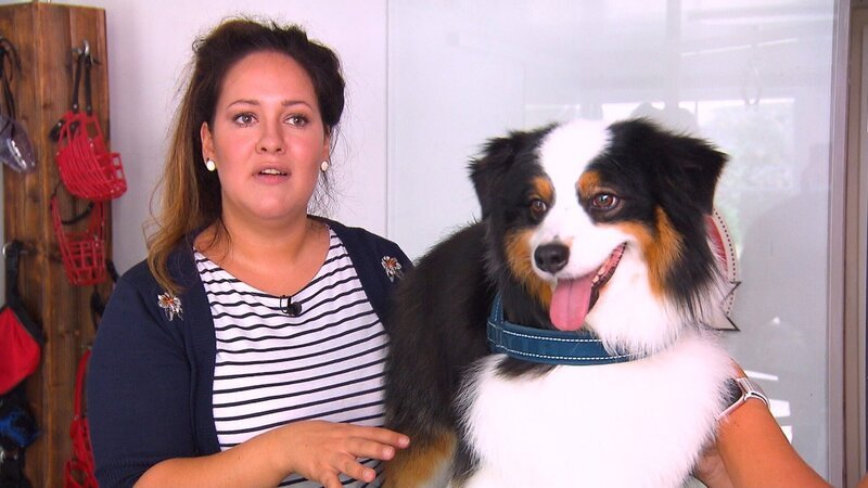 Hundefriseurin Chiara Epp mit Mini Australian Shepherd Buddy. – Bild: RTL