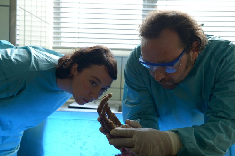 Tod in den Bergen – Bild: ZDF