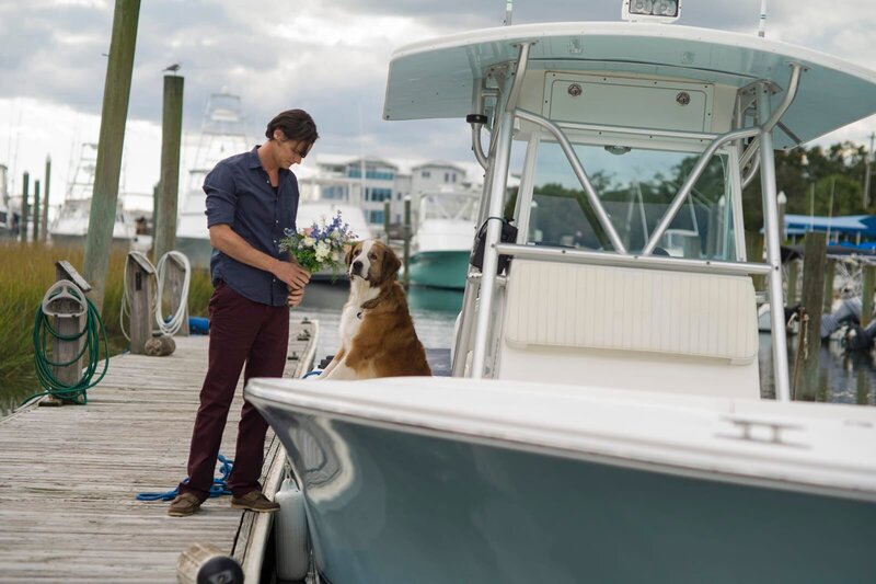 The Choice - Bis zum letzten Tag – Bild: Wild Bunch Germany /​ MKNS