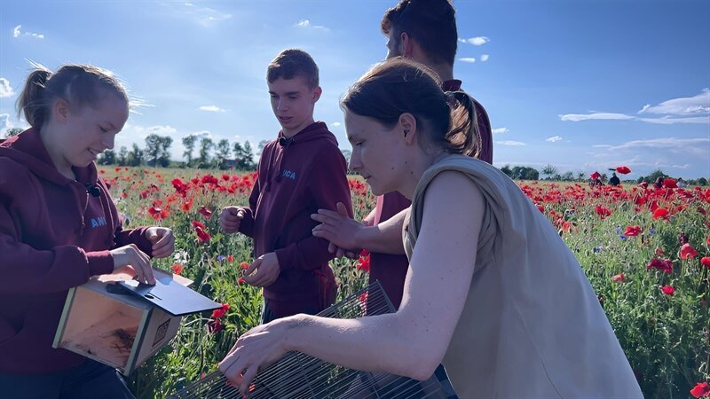 Anuk, Luca, Emilio und Martina Hacker wildern Feldhamster auf Feld bei Leipzig aus. – Bild: MDR/​Cine Impuls Leipzig GmbH