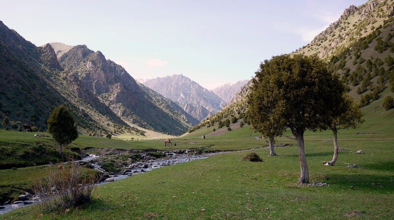 Kirgisisches Hochgebirgstal. Ein idealer Platz für das Sommerlager der Nomaden, das so genannte „Djailoo“. – Bild: NDR/​TELLUX