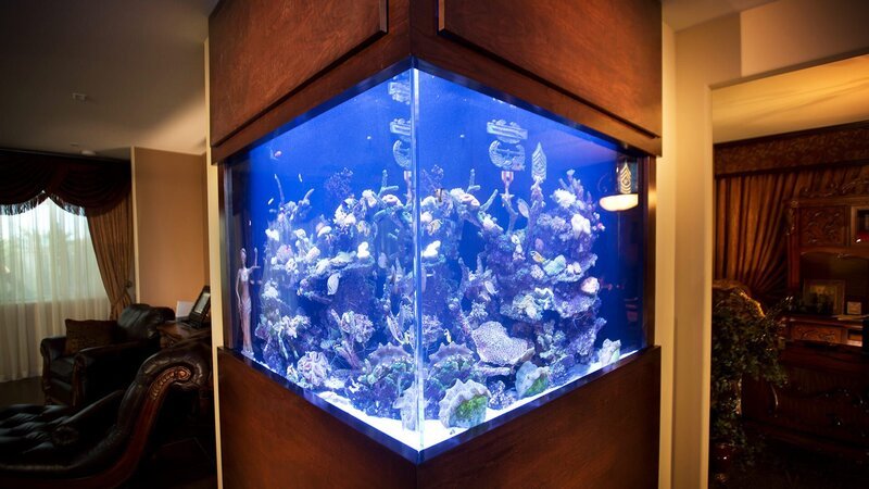 The finished Law & Military tank. – Bild: Animal Planet /​ Discovery Communications
