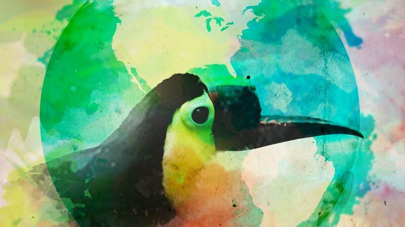 – Bild: Animal Planet / US DLTO ARTWORK / Discovery Communications – Bild: Animal Planet / US DLTO ARTWORK / Discovery Communications